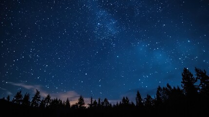 Fototapeta premium The beauty of a clear, starry night sky