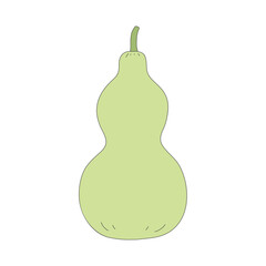 calabash, Illustration of vegetable, isolated, icon illustration