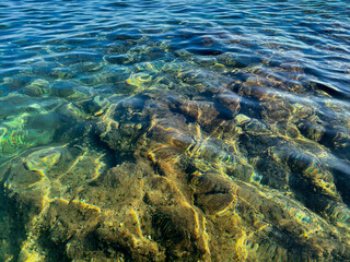 pebble bottom with large stones and seaweed through calm crystal clear transparent sea water.