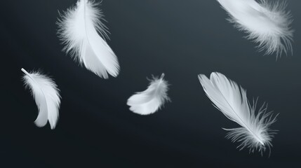 Obraz premium The image shows an isolated falling feather, realistic 3D illustration depicting falling feathers. The image shows a white bird falling feather, realistic 3D illustration depicting falling feathers.