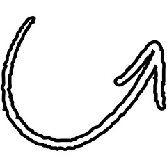 Single icon vector illustration black