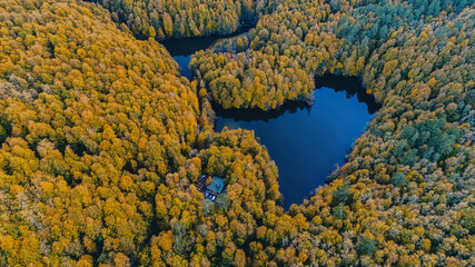 Aerial view of two naturally formed lakes in the middle of a forest in Bolu, Turkey. Yedigoller, Bolu, Tukey.