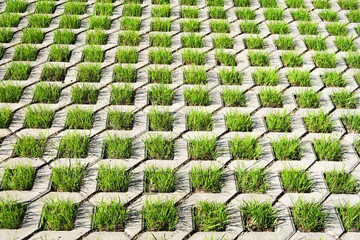 Polymer-sanded lawn grating for the construction of eco-parks