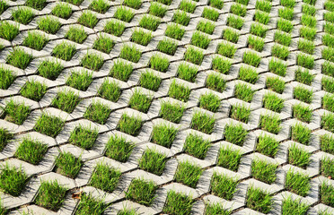 Polymer-sanded lawn grating for the construction of eco-parks