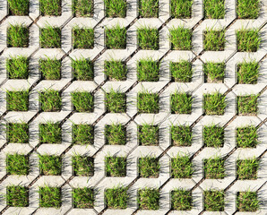 Polymer-sanded lawn grating for the construction of eco-parks