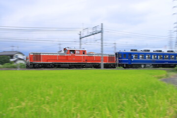 上越線を力走するDD51-842号機牽引のDLぐんまfin9号_2024/9/16撮影