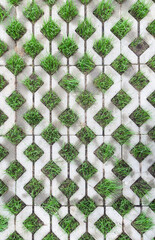 Eco-friendly paving tiles. Parking with a waterproof coating.   