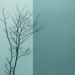 Fototapeta premium Minimalistic representation of a bare tree against a teal background divided by a vertical line, portraying solitude and simplicity.