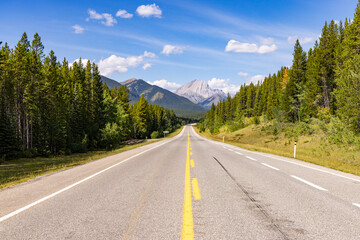 Fototapeta premium Scenic Alberta Highway Through Lush Forest and Majestic Mountains Under Clear Blue Sky