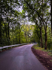 Obraz premium Winding path of a gravel pathway in a city park with many trees.