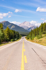 Scenic Alberta Highway Through Lush Forest and Majestic Mountains Under Clear Blue Sky