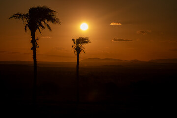 Paisagem no fim de tarde 