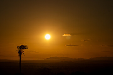 Paisagem com o sol