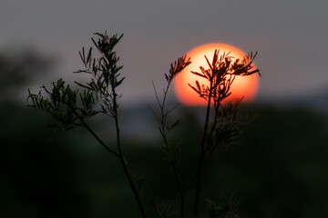 Paisagem, p&ocirc;r do sol