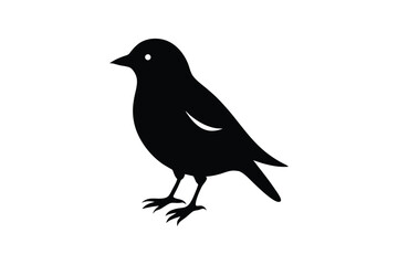 Fototapeta premium Cute Myna Bird vector art and illustration