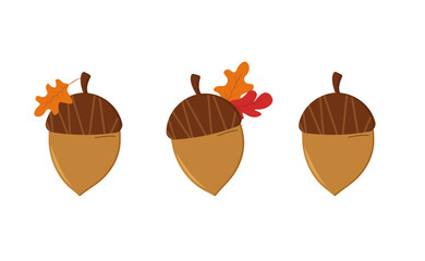 acorn icons set vector. isolated.
