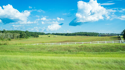 Beautiful meadow under blue sky and white cloud. A peaceful view of country side with white fence, castles are left free range, feeding on grass. Tranquil and serenity feeling. Wallpaper or background