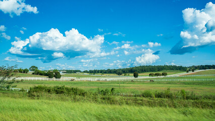 Beautiful meadow under blue sky and white cloud. A peaceful view of country side with white fence, castles are left free range, feeding on grass. Tranquil and serenity feeling. Wallpaper or background