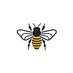 Bee invertebrate andrena animal.