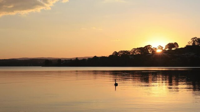 Warners Bay　（New South Wales）の夕暮れとスワン