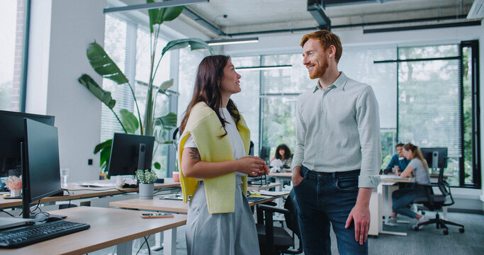 Satisfied mixed-raced workers talking with each other during free time at work. Pretty woman telling stories about funny situation in working day. Man widely smiling and giving high-five to coworker.