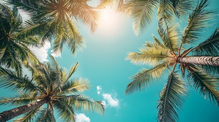 A serene view of palm trees against a bright blue sky, evoking a tropical paradise atmosphere.