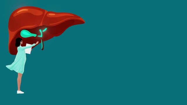 A female physician examines a patient's liver. Medical Examination. The doctor diagnoses liver disease, hepatitis A, B, C, D, cirrhosis, cancer