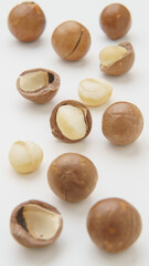 殻つきマカダミアナッツ