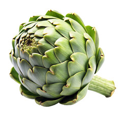 Fototapeta premium Fresh green artichoke with tightly packed leaves isolated on transparent background.