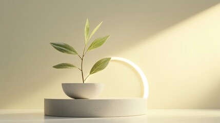 Geometric sprout growing from circle base, minimalist, 3D illustration