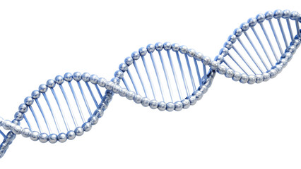 Abstract blue DNA helix on white background, representing the molecular structure of life and the foundation of genetic research