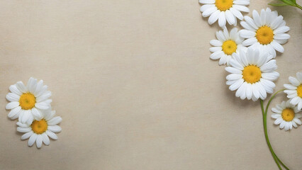 flowers on the paper