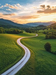 Obraz premium Dirt Road in Lush Green Field