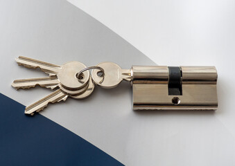 New door lock cylinder with keys. Door lock assembly. Home security and protective measures. How to find a reliable locksmith company. Lost doors key  