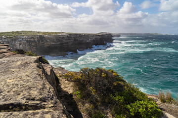 Cape Solander Cliff
