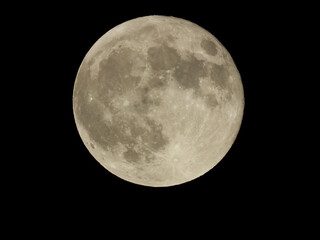 満月