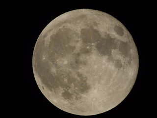 Obraz premium 満月