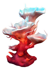 3D Rendering Clathrata Coral on White © photosvac