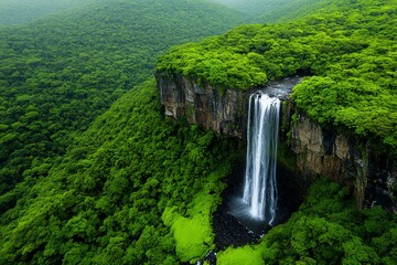Amazon Rainforest waterfalls cascading down cliffs, surrounded by lush greenery