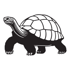 Fototapeta premium Tortoise Outline design Clipart - Testudinidae vector illustration in black and white 