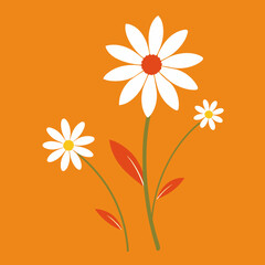 Daisy flower vector illustration set of material illustrations of white flowers and leaves. stock illustration