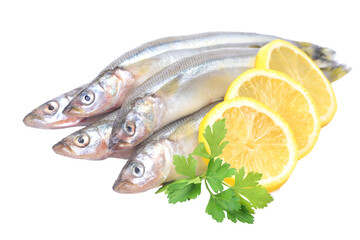 Smelt fish isolated