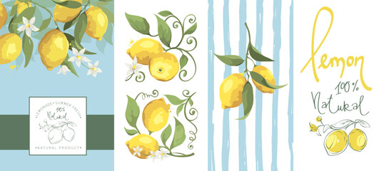 Set of backgrounds with lemon branches. Floral design elements for label of drinks with graphic logotype sign. Vector illustration in watercolor style.