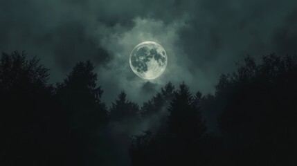 Full Moon Shining Over a Silhouetted Forest