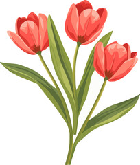 Elegant tulip bouquet icon flat on white isolated background, vector design.