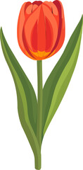 Fototapeta premium Elegant tulip bouquet icon flat on white isolated background, vector design.
