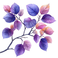 Obraz premium Vibrant branch of purple and pink leaves, adding a touch of nature's beauty and elegance to any project or design.