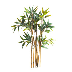 Obraz premium A vibrant cluster of bamboo plants, showcasing their lush green leaves and sturdy stalks, perfect for nature-themed designs.
