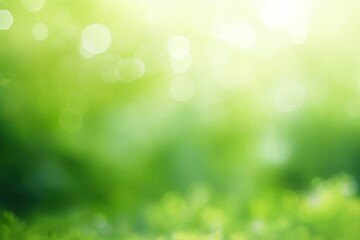 Fototapeta premium Bokeh bright Green nature background green backgrounds sunlight.