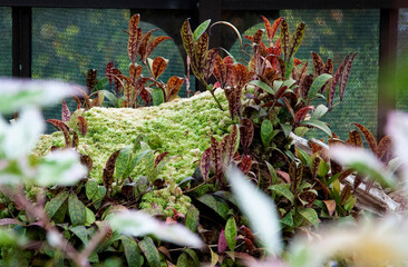 Fototapete bei efototapeten.de bestellen   